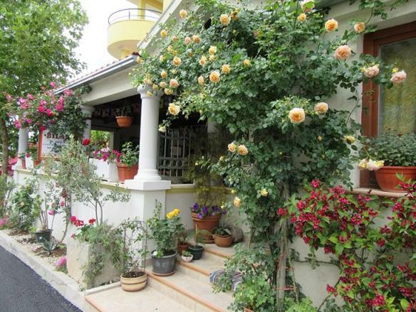 Apartmani Bilan Vodice Kültér fotó